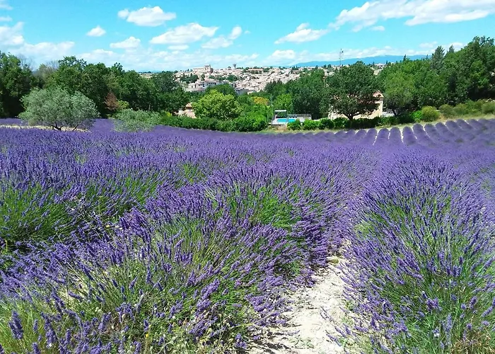 Au Pays De La Lavande... Holiday home Valensole