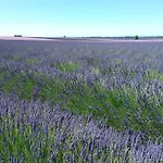 度假居 Au Pays De La Lavande... *