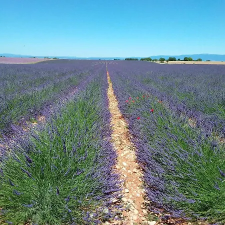 Au Pays De La Lavande... Ferienhaus Valensole