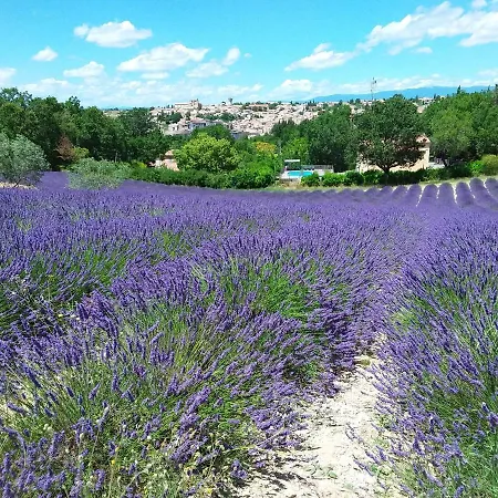 Au Pays De La Lavande... Vakantiehuis Valensole