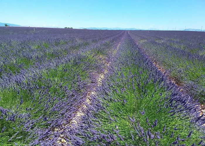 Au Pays De La Lavande... Vakantiehuis