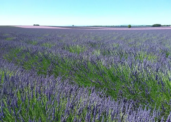 Vakantiehuis Au Pays De La Lavande... *
